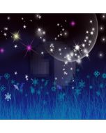 Beautiful night sky Computer Printed Photography Backdrop DT-SL-107