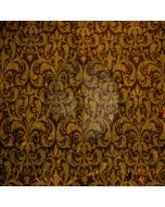 Plane pattern Computer Printed Photography Backdrop DT-SL-123
