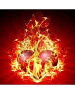 Passionate flame Computer Printed Photography Backdrop DT-SL-156