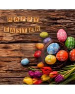 Egg Flower Wood Computer Printed Photography Backdrop HXB-866