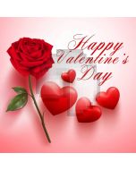 Heart Flower Computer Printed Photography Backdrop HXB-891