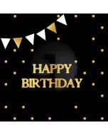 Birthday Ribbon Spot Computer Printed Photography Backdrop HXB-966