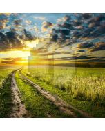 Pathway In Field Computer Printed Photography Backdrop HY-CM-0097