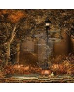 Pumpkins And Light Computer Printed Photography Backdrop LMG-056