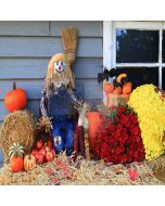 Lovely Scarecrow Computer Printed Photography Backdrop LMG-097