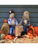 Cute Scarecrows Computer Printed Photography Backdrop LMG-100