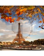 Autumn In Paris Computer Printed Photography Backdrop LMG-104