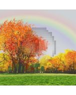 Rainbow In Autumn Computer Printed Photography Backdrop LMG-105
