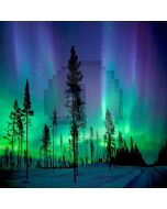 Aurora In Forest Computer Printed Photography Backdrop LMG-170
