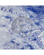 Frost Flowers Computer Printed Photography Backdrop LMG-209
