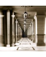 Palace Light Pillars Stone Computer Printed Photography Backdrop MSL-332