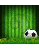 A Ball Grassland Green Wall Computer Printed Photography Backdrop MSL-401