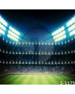 Immense Stadium Computer Printed Photography Backdrop S-1175