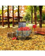 Happy Autumn Computer Printed Photography Backdrop S-1780