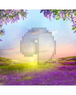 Happy Flower Computer Printed Photography Backdrop S-1788