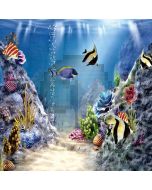 Undersea Computer Printed Photography Backdrop S-1957