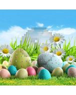 Colored Eggs Computer Printed Photography Backdrop S-219