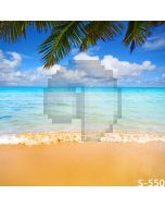 Happy Beach Computer Printed Photography Backdrop S-550