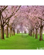 Spring Flowers Computer Printed Photography Backdrop S-597