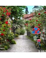 Cute Alley Computer Printed Photography Backdrop S-662