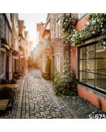 Cozy Alley Computer Printed Photography Backdrop S-675