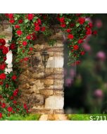 Corner Rose Computer Printed Photography Backdrop S-711