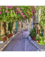 Sunny Alley Computer Printed Photography Backdrop S-741