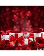 Wonderful Gifts Computer Printed Photography Backdrop S-937