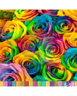 Colorful Rose Computer Printed Photography Backdrop S-971