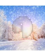 Snowy Day Computer Printed Photography Backdrop ST-062