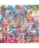 Wonderful Wall  Computer Printed Photography Backdrop XLX-306