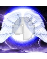 Magical Wings Computer Printed Photography Backdrop XLX-563