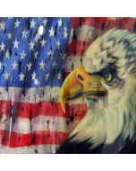 American flag and eagle Computer Printed Photography Backdrop ZJZ-006