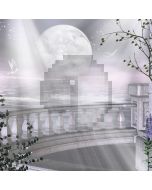 Sunlight seagulls stone fence Computer Printed Photography Backdrop ZJZ-354