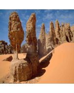 Sahara Desert  Computer Printed Photography Backdrop ZJZ-384