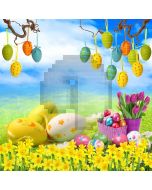 Painted Eggs Computer Printed Photography Backdrop ZJZ-399