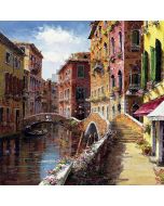 Venice Street Computer Printed Photography Backdrop ZJZ-679