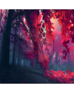 Beautiful Maple Leaves  Computer Printed Photography Backdrop ZJZ-930