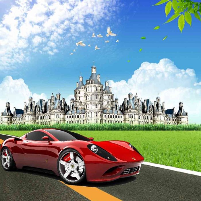 Nice Ride Outside Of Castle Computer Printed Photography Backdrop Zjz 035 Backdrop Backdrops Wholesale Photography Equipment Wholesale Camera Accessories Wholesale Studio Backdrop Wholesale